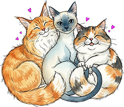 Trio of Cuddly Cats is a sample of our original designs available as gifts for cat lovers and dog lovers on our Redbubble store under Lion and Lamb Design